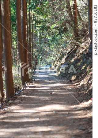 Bright mountain path of Mt. Mitake Bright mountain path of Mt. Mitake 95716192