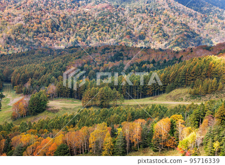 Mountain scenery with autumn leaves seen from Mt. Nikko-Shirane Mountain scenery with autumn leaves seen from Mt. Nikko-Shirane 95716339