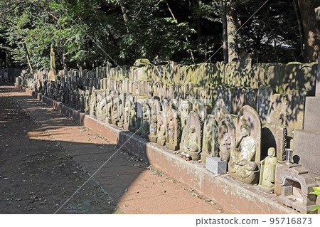 三寶寺(練馬) 三寶寺(練馬) 95716873
