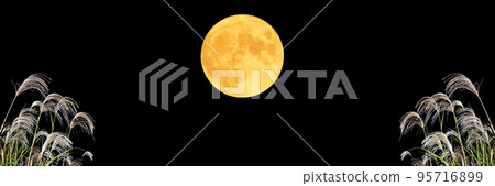 秋天的形象。觀月。中秋月和蒲葦。 95716899