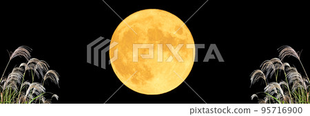 秋天的形象。觀月。中秋月和蒲葦。 95716900