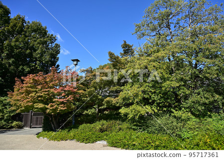 Autumn swan garden Autumn swan garden 95717361