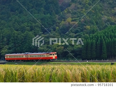 Kiha 48 Kisei Main Line 95718101