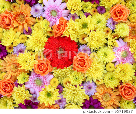 足利市足利花卉公園花手 95719087