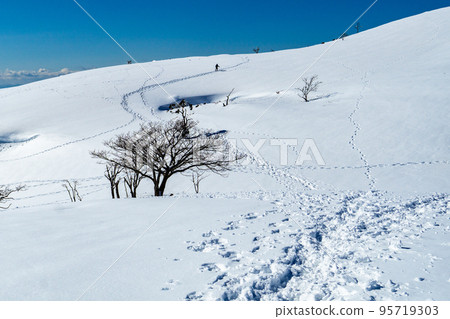 登山者在晴朗的天空下穿越靈山雪原 登山者在晴朗的天空下穿越靈山雪原 95719303