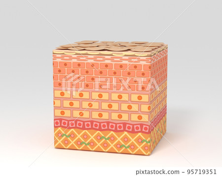 skin skin epidermis skin beauty human body structure 95719351