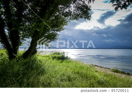 琵琶湖畔的公園風景 琵琶湖畔的公園風景 95720011