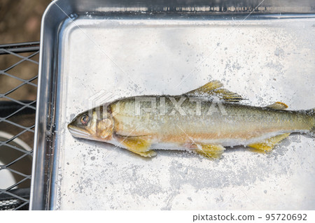 [Make salt-grilled sweetfish at the auto campsite] 95720692