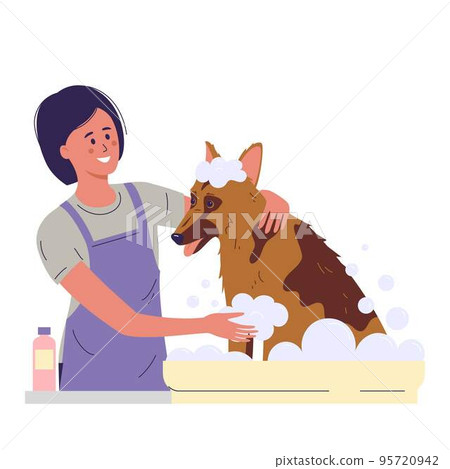 Woman specialist of grooming salon bathing dog 95720942