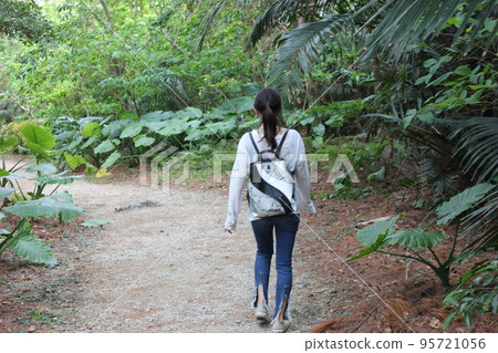 Woman walking in the forest Woman walking in the forest 95721056
