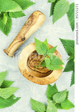 Fresh nettle leaves,herbal medicine. 95721271