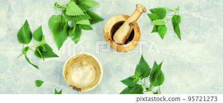 Fresh nettle leaves,herbal medicine. 95721273