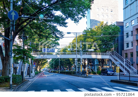 原宿表參道秋天的櫸樹（東京都澀谷區） 95721864