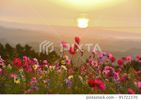 Morning and sunrise at Shirakimine Plateau 95722370