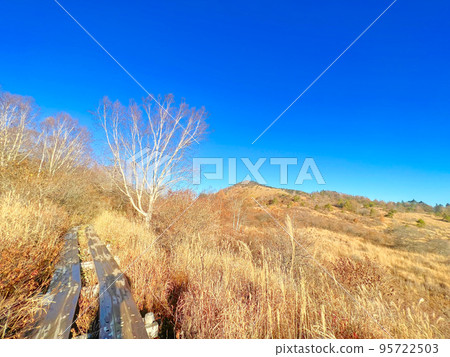 Yashima Wetland in clear autumn weather Yashima Wetland in clear autumn weather 95722503
