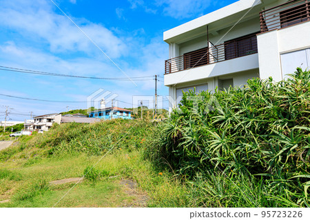 三浦半島神奈川縣最南端的城島的夏天 95723226