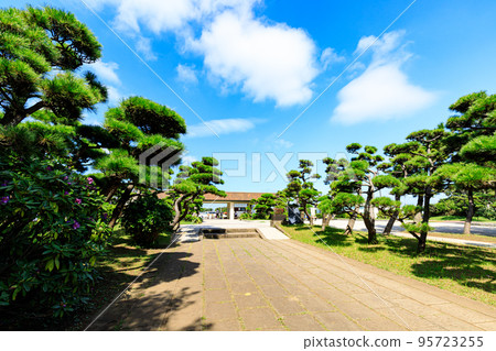 Summer in Jogashima, the southernmost island of Kanagawa Prefecture on the Miura Peninsula 95723255