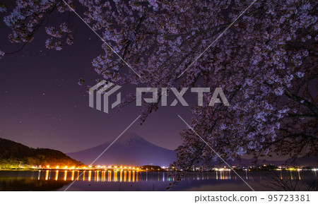 夜晚的櫻花和富士山 夜晚的櫻花和富士山 95723381