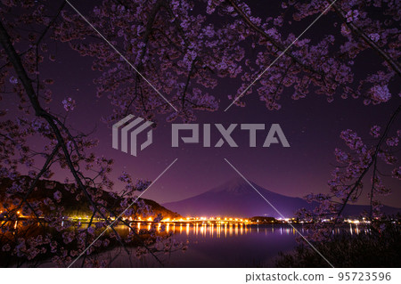 Cherry blossoms at night and Mt. Fuji 95723596