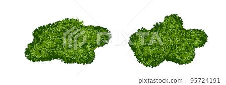 Set of green moss bushes or forest lichen with realistic texture isolated on white background 95724191