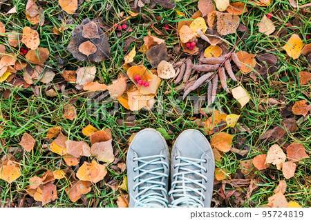 Top view shoes on autumn forest ground with frost and leaves falling on ground landscape. Close up of fallen leaves. forest dry leaves background copy space 95724819