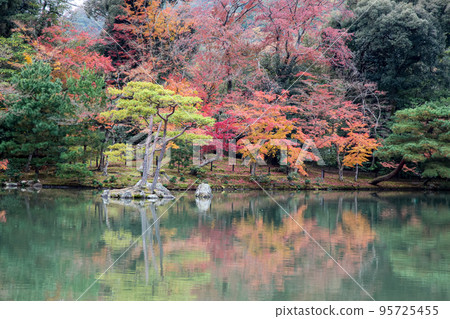 The landscape garden autumn in kyoto at japan 95725455