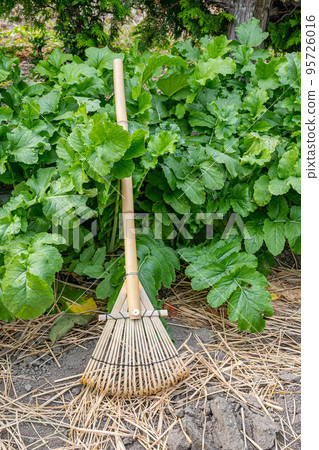 Cleaning tool bamboo bow Cleaning tool bamboo bow 95726016