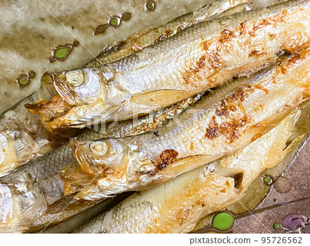 Charcoal-grilled Shishamo 95726562