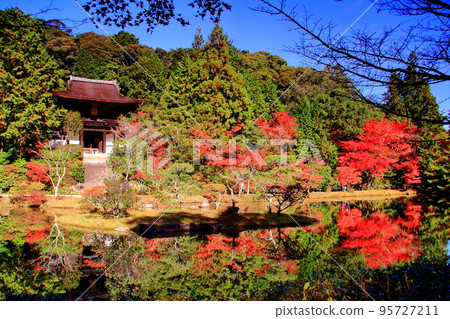 Autumn leaves in the garden of Enjoji Temple (Nara City) 95727211