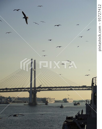 Seagulls welcoming a cruise ship into Yokohama Port 95727412