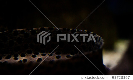 The best view under sea 95728367