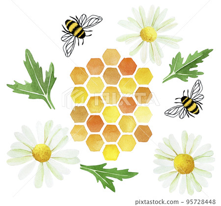 watercolor set with yellow honeycomb, chamomile flowers and leaves and bees. cute set of clipart on the theme of summer, farming, natural products isolated on white background 95728448