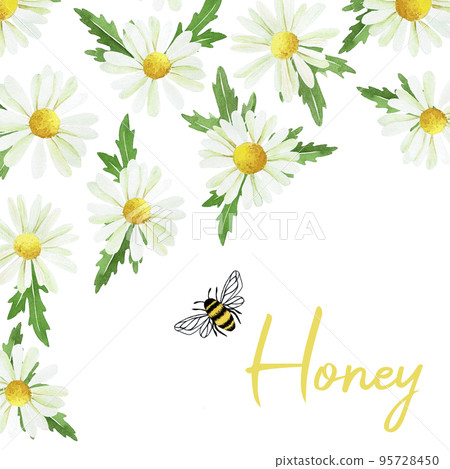 watercolor drawing, postcard, poster on the theme of beekeeping, bees, honey. cute bee and chamomile flowers on a white background. 95728450