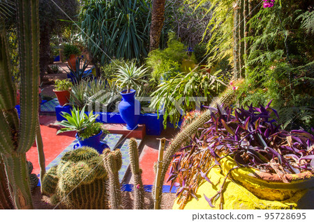 Cactus park next to building and potted plants and terracotta floor of garden paths in Majorelle 95728695
