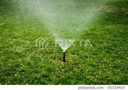 Automatic sprinkler system spread water spray in garden on lawn 95729403