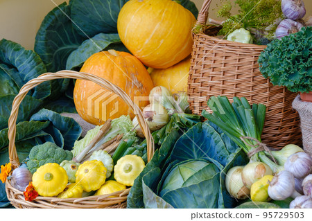 Baskets and vegetables on agricultural market 95729503