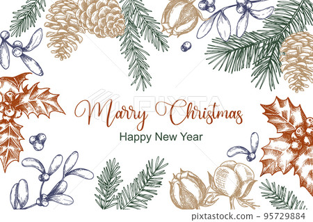 greeting card for christmas. vintage rectangular frame, sketch style drawing, retro. christmas plants, fir branches, cones, holly, mistletoe greeting card for christmas. vintage rectangular frame, sketch style drawing, retro. christmas plants, fir branches, cones, holly, mistletoe 95729884