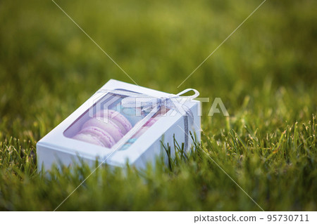 Cardboard white gift box with colorful handmade macaron cookies on green grass lawn background. Cardboard white gift box with colorful handmade macaron cookies on green grass lawn background. 95730711