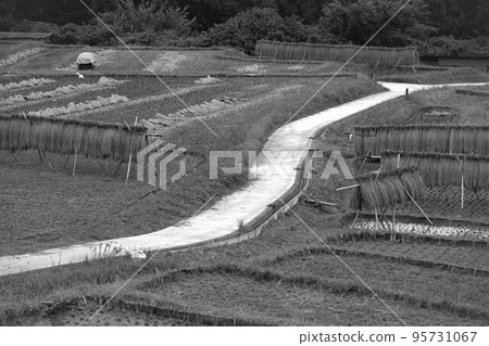 Terasaka Tanada 95731067