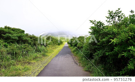 Promenade of Miharayama Hiking Course Promenade of Miharayama Hiking Course 95731276