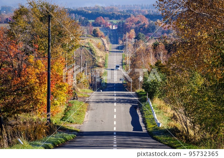 秋葉環繞的過山車公路（北海道上富良野） 95732365