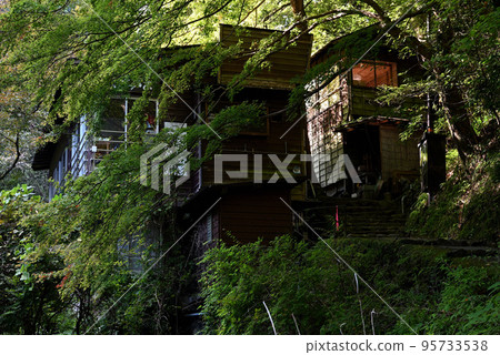 An old house in the woods 95733538