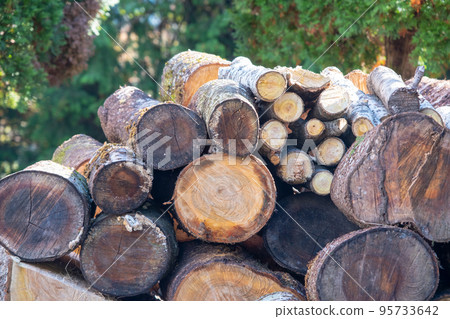 Campsite wood-burning stove wood-burning biomass Campsite wood-burning stove wood-burning biomass 95733642