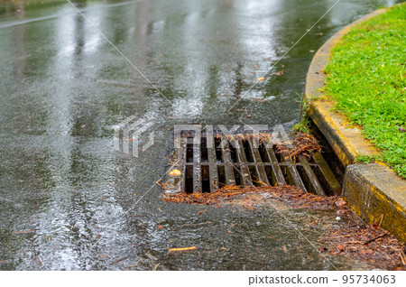 Metal storm drain during a rain event with leaves and needles starting to buildup around the edges 95734063