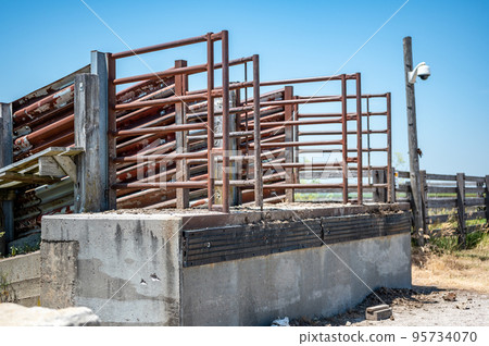 Metal elevated cattle chute in the rural Midwest 95734070