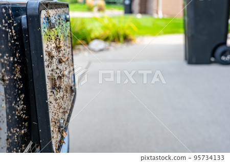 Selective focus on dead bugs splattered to the front grill and plates of a vehicle Selective focus on dead bugs splattered to the front grill and plates of a vehicle 95734133