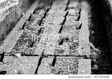 Carpet tack strip exposed during a flooring home improvement project Carpet tack strip exposed during a flooring home improvement project 95734390