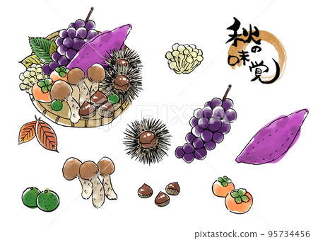 秋天的味道設置 95734456