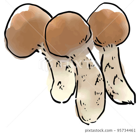 秋天的味道松茸 95734461