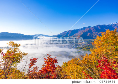 [長野縣]秋天的橡子全景展望台的雲海 95734614